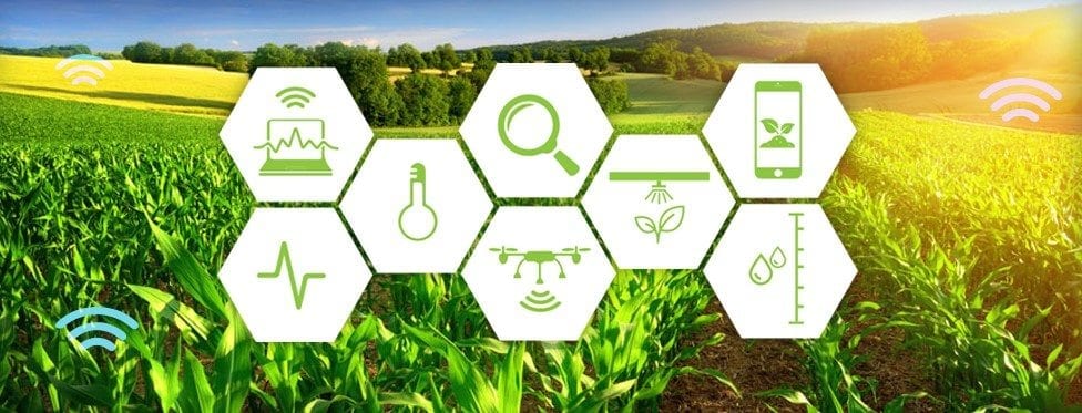 How The Internet Of Things (IOT) Is Helping The Agriculture Sector – Site  Title